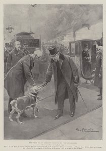 Le Roi Édouard VII et le Chien Collecteur de la Gare Tim à Paddington